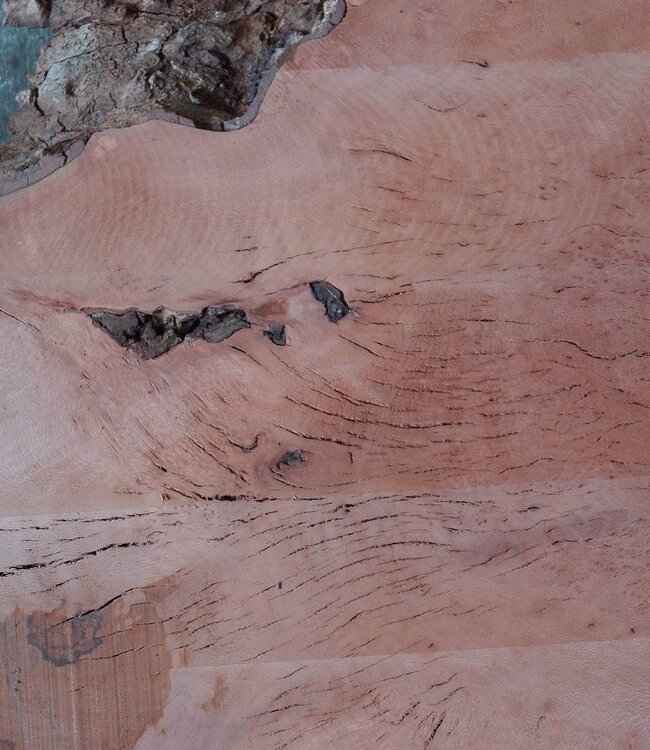 Platane, gedämpft, ca. 1950 x 1010/300 x 52 mm, 13248