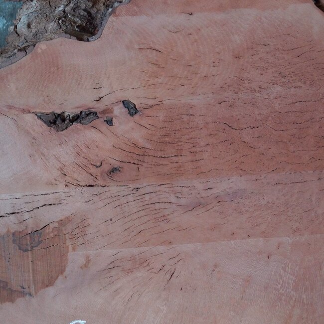 Platane, gedämpft, ca. 1950 x 1010/300 x 52 mm, 13248