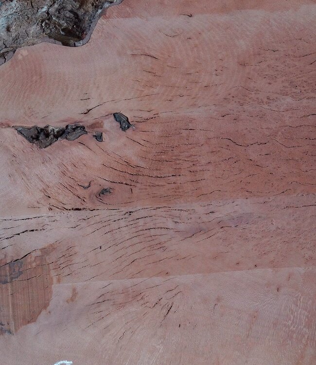 Platane, gedämpft, ca. 1950 x 1010/300 x 52 mm, 13248