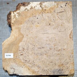 Oak Burl, approx. 330 x 320 x 90mm, 5,5kg