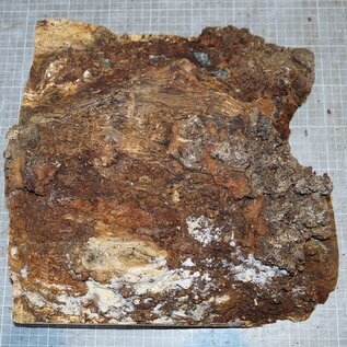 Eiche Maser, ca. 330 x 320 x 90mm, 5,5kg