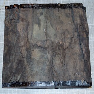 Black Walnut, approx. 220 x 220 x 45mm,1,2kg