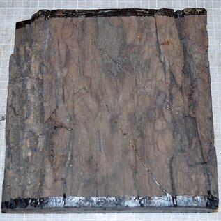 Black Walnut, approx. 220 x 220 x 49mm,1,3kg