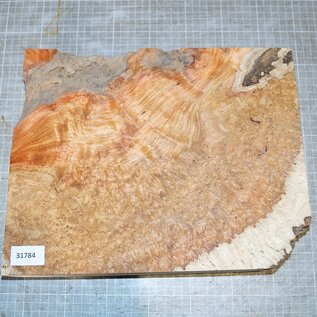 Amboina Maser, ca. 340 x 265 x 48-52mm, 3,1kg