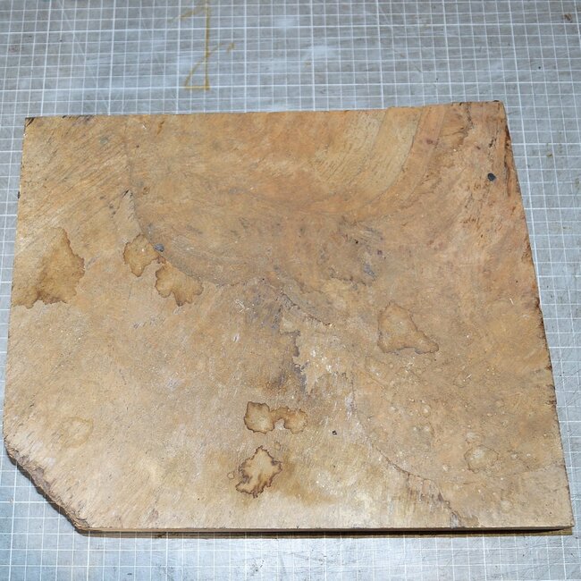 Amboina Maser, ca. 340 x 265 x 25-52mm, 3,1kg