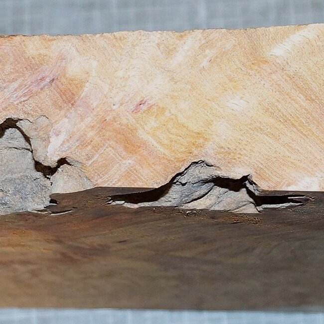 Amboina burl, approx. 340 x 265 x 25-52mm, 3,1kg