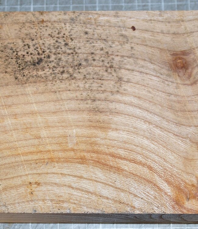 Dutch Elm, approx. 300 x 135 x 53mm, 1,6kg