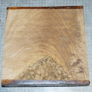 European Walnut, approx. 220 x 220 x 48mm, 1,7kg