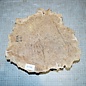 Goldfield burl, approx. 300 x 260 x 70mm, 2,7kg