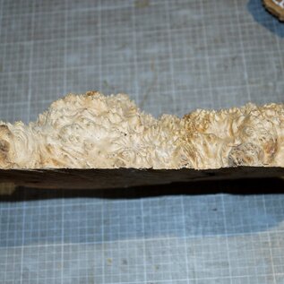 Goldfield Maser Knolle, ca. 350 x 230 x 75mm, 3,9kg