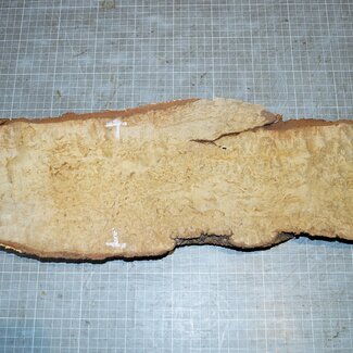 Birke Maser, ca. 540 x 140 x 40mm, 2,0kg