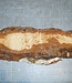 Birch burl, approx. 540 x 140 x 40mm, 2,0kg