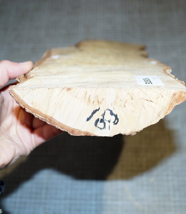 Birch burl, approx. 540 x 140 x 40mm, 2,0kg