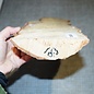 Birch burl, approx. 540 x 140 x 40mm, 2,0kg