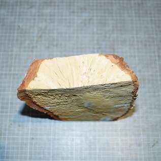 Birch burl, approx. 255 x 135 x 39mm, 1,0kg