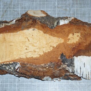 Birch burl, approx. 300 x 135 x 36mm, 1,1kg