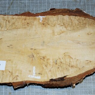 Birch burl, approx. 260 x 140 x 36mm, 1,1kg