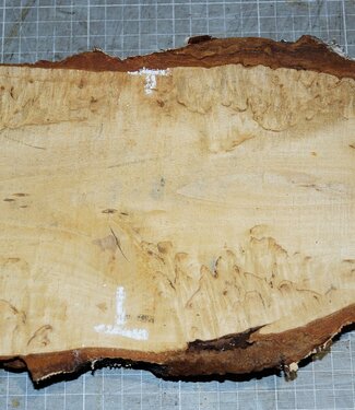 Birch burl, approx. 260 x 140 x 36mm, 1,1kg