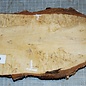 Birch burl, approx. 260 x 140 x 36mm, 1,1kg