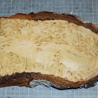 Birch burl, approx. 260 x 140 x 36mm, 1,1kg