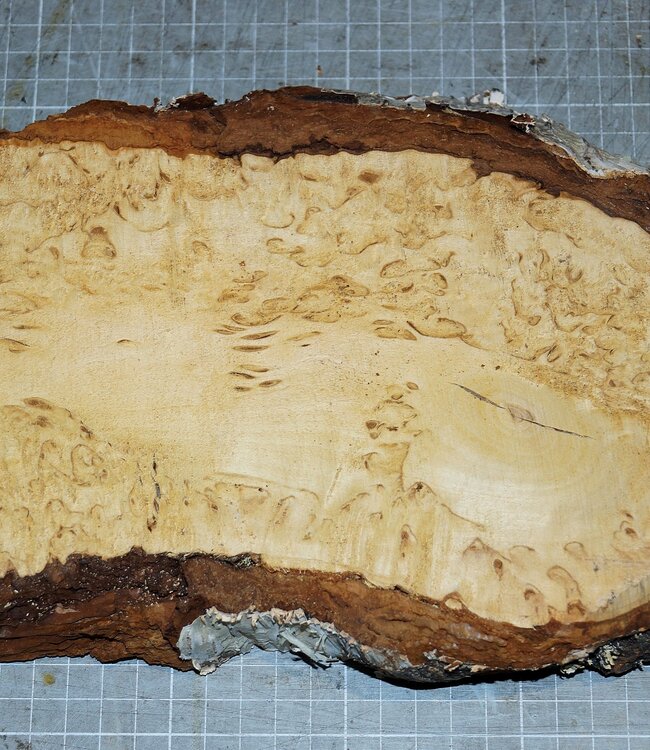 Birch burl, approx. 260 x 140 x 36mm, 1,1kg