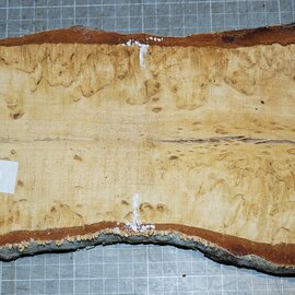 Birch burl, approx. 255 x 125 x 36mm, 1,1kg