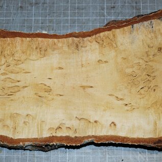 Birch burl, approx. 255 x 125 x 36mm, 1,1kg