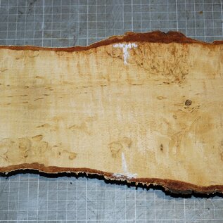 Birch burl, approx. 300 x 135 x 39mm, 1,1kg