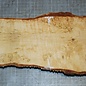 Birch burl, approx. 300 x 135 x 39mm, 1,1kg