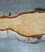 Birch burl, approx. 300 x 135 x 39mm, 1,1kg