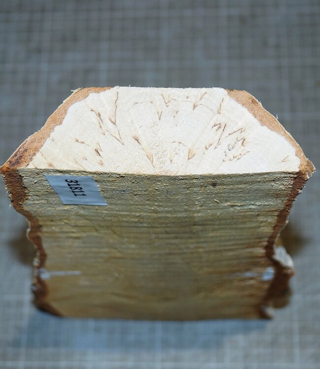 Birch burl, approx. 300 x 135 x 39mm, 1,1kg