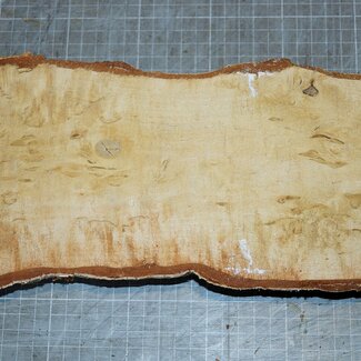 Birch burl, approx. 305 x 130 x 40mm, 1,1kg