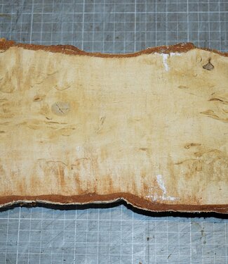Birke Maser, ca. 305 x 130 x 40mm, 1,1kg