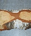 Birke Maser, ca. 305 x 130 x 40mm, 1,1kg