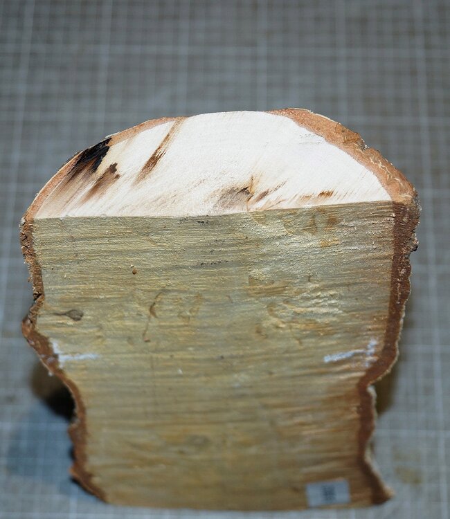 Birch burl, approx. 305 x 130 x 40mm, 1,1kg