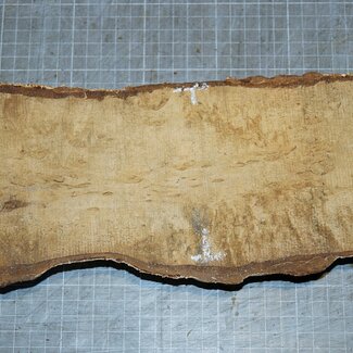 Birch burl, approx. 300 x 110 x 39mm, 1,0kg