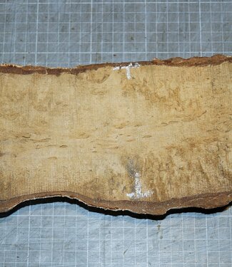 Birke Maser, ca. 300 x 110 x 39mm, 1,0kg