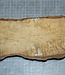 Birch burl, approx. 300 x 110 x 39mm, 1,0kg