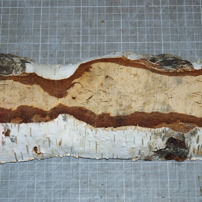 Birke Maser, ca. 300 x 110 x 39mm, 1,0kg