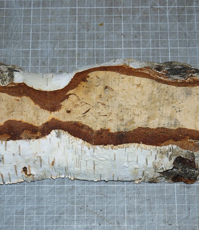 Birch burl, approx. 300 x 110 x 39mm, 1,0kg
