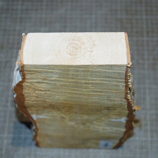 Birch burl, approx. 310 x 125 x 38mm, 1,3kg