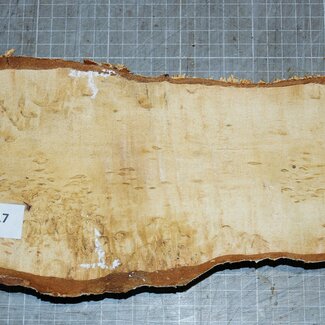 Birch burl, approx. 250 x 120 x 40mm, 0,8kg