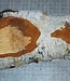 Birch burl, approx. 250 x 120 x 40mm, 0,8kg