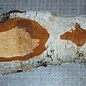 Birch burl, approx. 250 x 120 x 40mm, 0,8kg