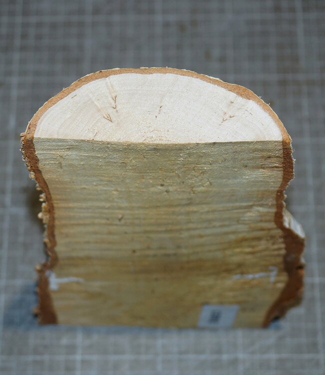 Birch burl, approx. 250 x 120 x 40mm, 0,8kg