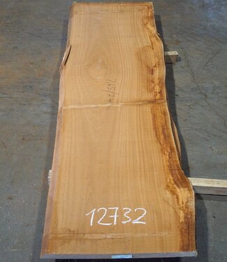 Sapeli Mahagoni, Tischplatte, ca. 2650 x 740(810) x 55 mm, 12732