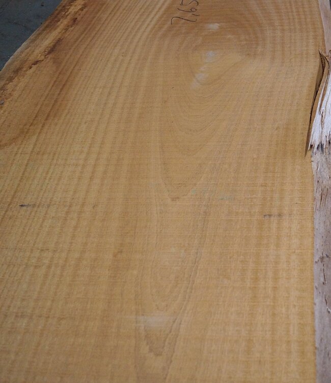 Sapeli Mahagoni, Tischplatte, ca. 2650 x 740(810) x 55 mm, 12732