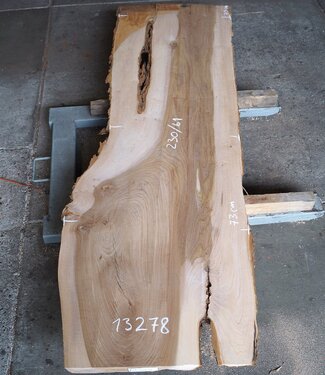 Dutch elm, approx. 2300 x 610 x 50 mm, 13278