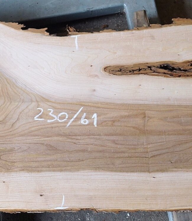 Dutch elm, approx. 2300 x 610 x 50 mm, 13278