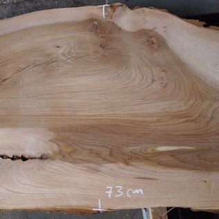 Dutch elm, approx. 2300 x 610 x 50 mm, 13278